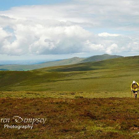 Coolcormack Stud B&B Dungarvan  Bagian luar foto