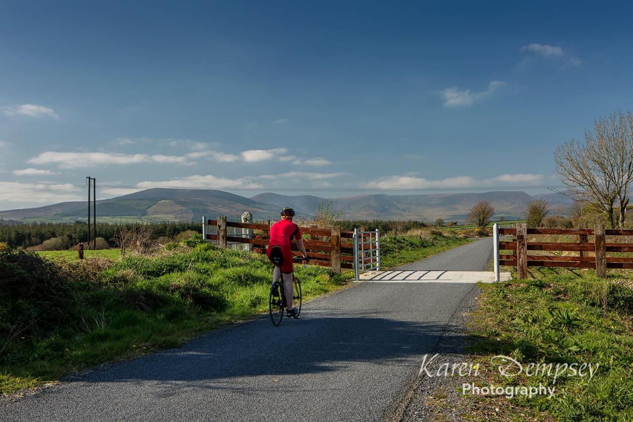 Coolcormack Stud B&B Dungarvan  Bagian luar foto