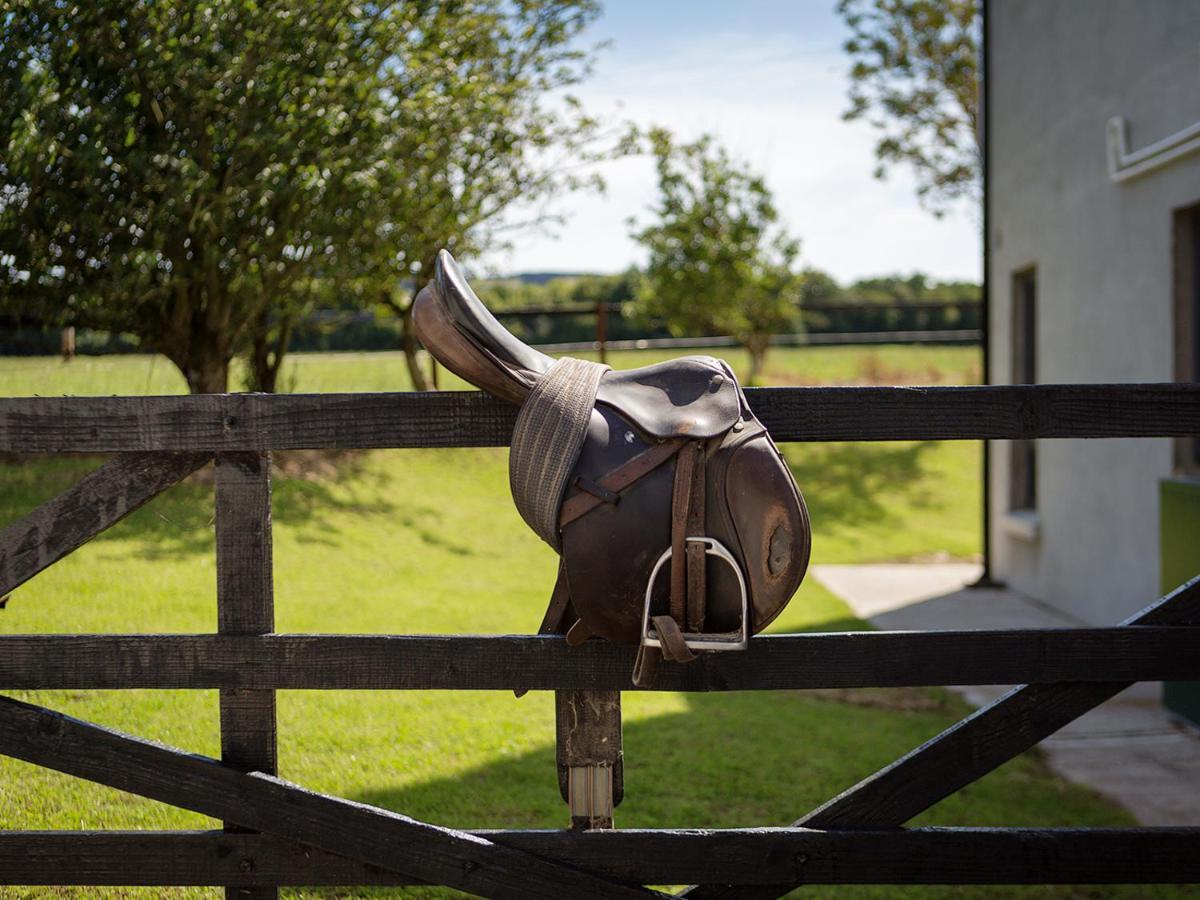 Coolcormack Stud B&B Dungarvan  Bagian luar foto
