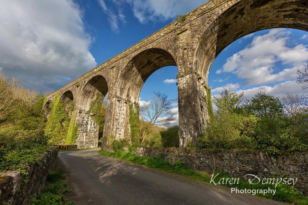 Coolcormack Stud B&B Dungarvan  Bagian luar foto