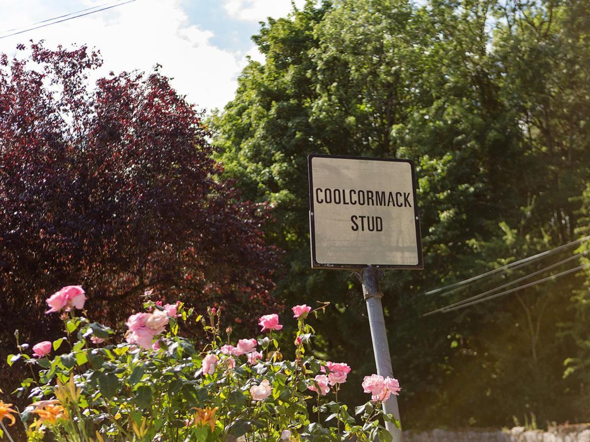 Coolcormack Stud B&B Dungarvan  Bagian luar foto