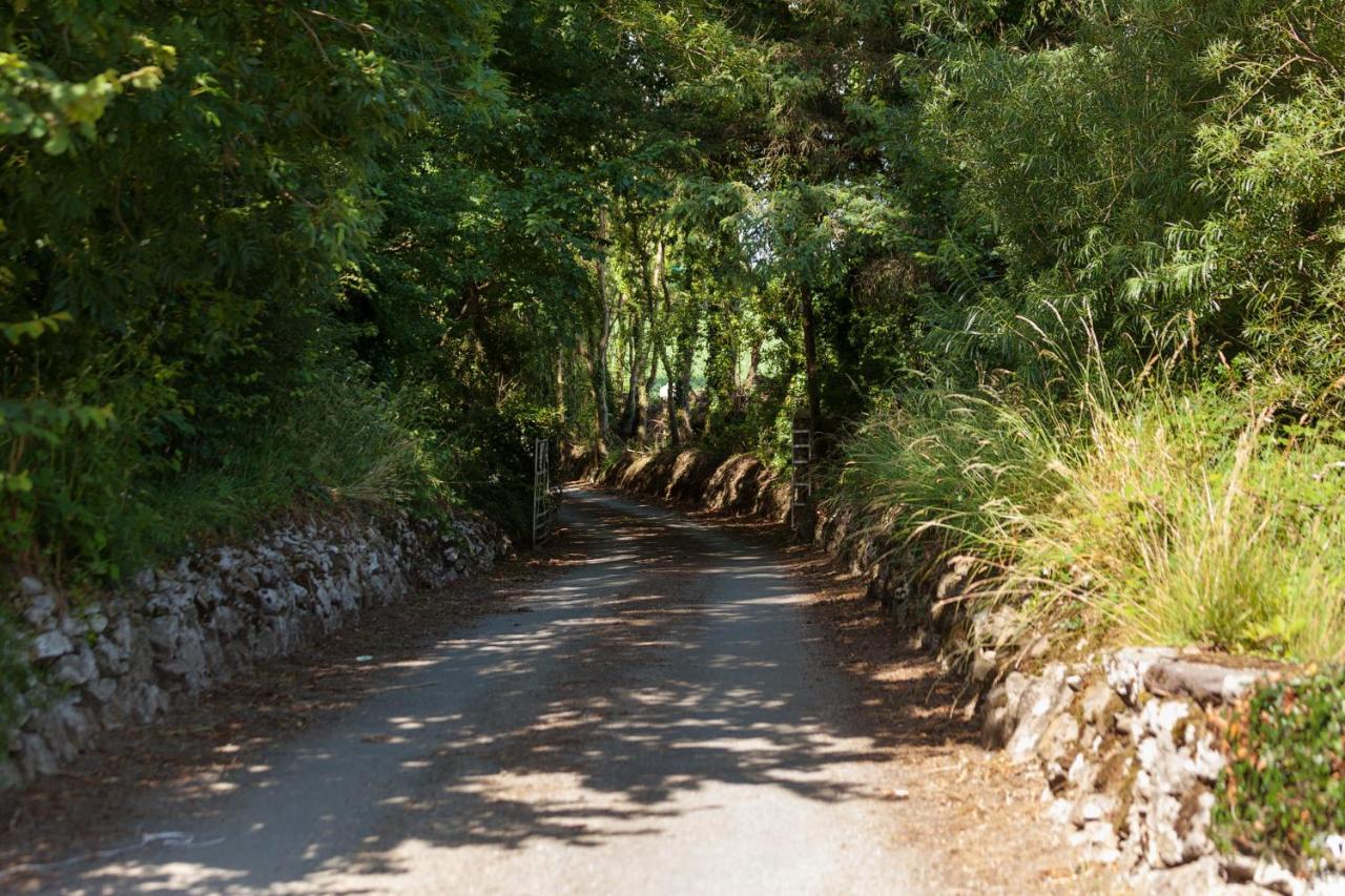 Coolcormack Stud B&B Dungarvan  Bagian luar foto